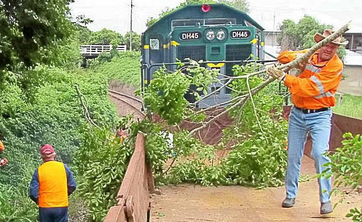 Six wagonloads of branches and undergrowth were cleared and disposed of. Six wagonloads of branches and undergrowth were cleared and disposed of.